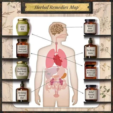 BOOK: FORGOTTEN HOME APOTHECARY GUIDE