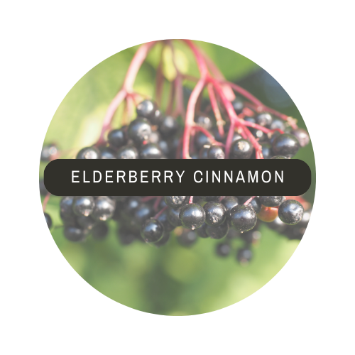 Elderberry Cinnamon Sea Moss Gel