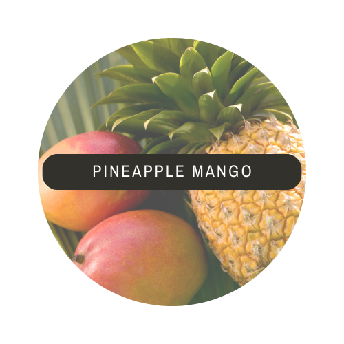 Pineapple Mango Sea Moss Gel