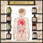 BOOK: FORGOTTEN HOME APOTHECARY GUIDE